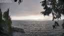 ./images/koeye/fitz-hugh/20250903/fitz-hugh20250903_180011M.jpg
