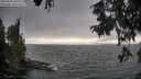 ./images/koeye/fitz-hugh/20250903/fitz-hugh20250903_181011M.jpg