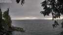 ./images/koeye/fitz-hugh/20250903/fitz-hugh20250903_182510M.jpg