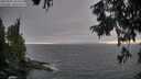 ./images/koeye/fitz-hugh/20250903/fitz-hugh20250903_184511M.jpg