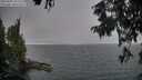 ./images/koeye/fitz-hugh/20250903/fitz-hugh20250903_191508M.jpg