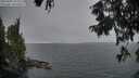 ./images/koeye/fitz-hugh/20250903/fitz-hugh20250903_194009M.jpg