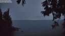 ./images/koeye/fitz-hugh/20250903/fitz-hugh20250903_204509M.jpg