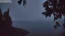 ./images/koeye/fitz-hugh/20250904/fitz-hugh20250904_061510M.jpg