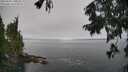 ./images/koeye/fitz-hugh/20250904/fitz-hugh20250904_103507M.jpg