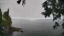 ./images/koeye/fitz-hugh/20250904/fitz-hugh20250904_104008M.jpg