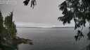 ./images/koeye/fitz-hugh/20250904/fitz-hugh20250904_104511M.jpg