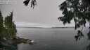 ./images/koeye/fitz-hugh/20250904/fitz-hugh20250904_105011M.jpg
