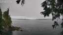 ./images/koeye/fitz-hugh/20250904/fitz-hugh20250904_105510M.jpg