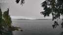 ./images/koeye/fitz-hugh/20250904/fitz-hugh20250904_110012M.jpg