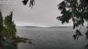 ./images/koeye/fitz-hugh/20250904/fitz-hugh20250904_110511M.jpg