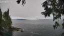 ./images/koeye/fitz-hugh/20250904/fitz-hugh20250904_112011M.jpg