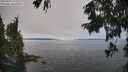 ./images/koeye/fitz-hugh/20250904/fitz-hugh20250904_122011M.jpg