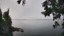 ./images/koeye/fitz-hugh/20250904/fitz-hugh20250904_133511M.jpg