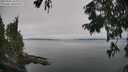 ./images/koeye/fitz-hugh/20250904/fitz-hugh20250904_143010M.jpg