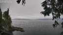 ./images/koeye/fitz-hugh/20250904/fitz-hugh20250904_145011M.jpg