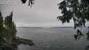 ./images/koeye/fitz-hugh/20250904/fitz-hugh20250904_150011M.jpg