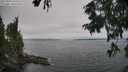 ./images/koeye/fitz-hugh/20250904/fitz-hugh20250904_150510M.jpg