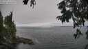 ./images/koeye/fitz-hugh/20250904/fitz-hugh20250904_152511M.jpg