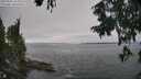./images/koeye/fitz-hugh/20250904/fitz-hugh20250904_153012M.jpg