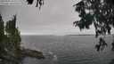 ./images/koeye/fitz-hugh/20250904/fitz-hugh20250904_155509M.jpg