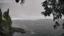 ./images/koeye/fitz-hugh/20250904/fitz-hugh20250904_160013M.jpg