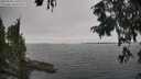 ./images/koeye/fitz-hugh/20250904/fitz-hugh20250904_161011M.jpg