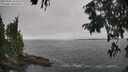 ./images/koeye/fitz-hugh/20250904/fitz-hugh20250904_162509M.jpg