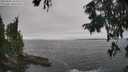 ./images/koeye/fitz-hugh/20250904/fitz-hugh20250904_163011M.jpg