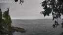 ./images/koeye/fitz-hugh/20250904/fitz-hugh20250904_164011M.jpg