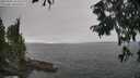 ./images/koeye/fitz-hugh/20250904/fitz-hugh20250904_165511M.jpg