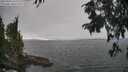 ./images/koeye/fitz-hugh/20250904/fitz-hugh20250904_170012M.jpg