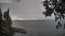 ./images/koeye/fitz-hugh/20250904/fitz-hugh20250904_170510M.jpg