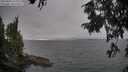 ./images/koeye/fitz-hugh/20250904/fitz-hugh20250904_174009M.jpg