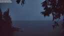./images/koeye/fitz-hugh/20250904/fitz-hugh20250904_204509M.jpg