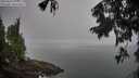 ./images/koeye/fitz-hugh/20250905/fitz-hugh20250905_072010M.jpg