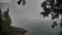 ./images/koeye/fitz-hugh/20250905/fitz-hugh20250905_073509M.jpg