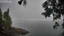 ./images/koeye/fitz-hugh/20250905/fitz-hugh20250905_075008M.jpg