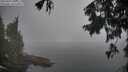 ./images/koeye/fitz-hugh/20250905/fitz-hugh20250905_091011M.jpg