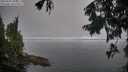 ./images/koeye/fitz-hugh/20250905/fitz-hugh20250905_094511M.jpg