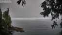 ./images/koeye/fitz-hugh/20250905/fitz-hugh20250905_095012M.jpg