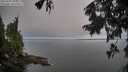 ./images/koeye/fitz-hugh/20250905/fitz-hugh20250905_100012M.jpg