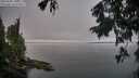 ./images/koeye/fitz-hugh/20250905/fitz-hugh20250905_100509M.jpg
