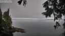 ./images/koeye/fitz-hugh/20250905/fitz-hugh20250905_101511M.jpg