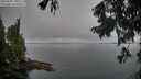 ./images/koeye/fitz-hugh/20250905/fitz-hugh20250905_102510M.jpg