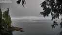 ./images/koeye/fitz-hugh/20250905/fitz-hugh20250905_103012M.jpg