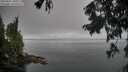 ./images/koeye/fitz-hugh/20250905/fitz-hugh20250905_103510M.jpg