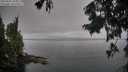 ./images/koeye/fitz-hugh/20250905/fitz-hugh20250905_104011M.jpg