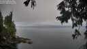 ./images/koeye/fitz-hugh/20250905/fitz-hugh20250905_104511M.jpg
