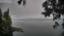 ./images/koeye/fitz-hugh/20250905/fitz-hugh20250905_105011M.jpg
